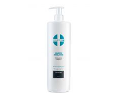 Sinergy Treatment Regulating Shampoo 1000ml - Šampon na mastný vlas